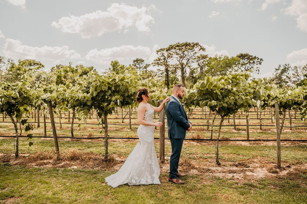 A couple in wedding attire share an intimate moment together in a sun-drenched vineyard during golden hour.