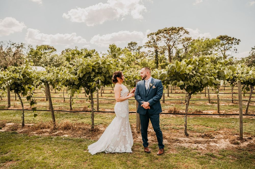 A couple walks through a sun-dappled vineyard as their wedding attire catches the late afternoon light.