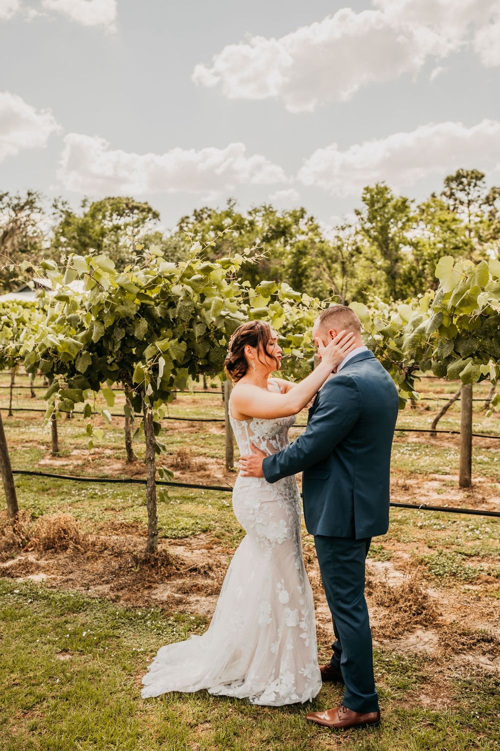 A romantic moment captured between a couple in formal wedding attire among lush vineyard rows on a sunny day.