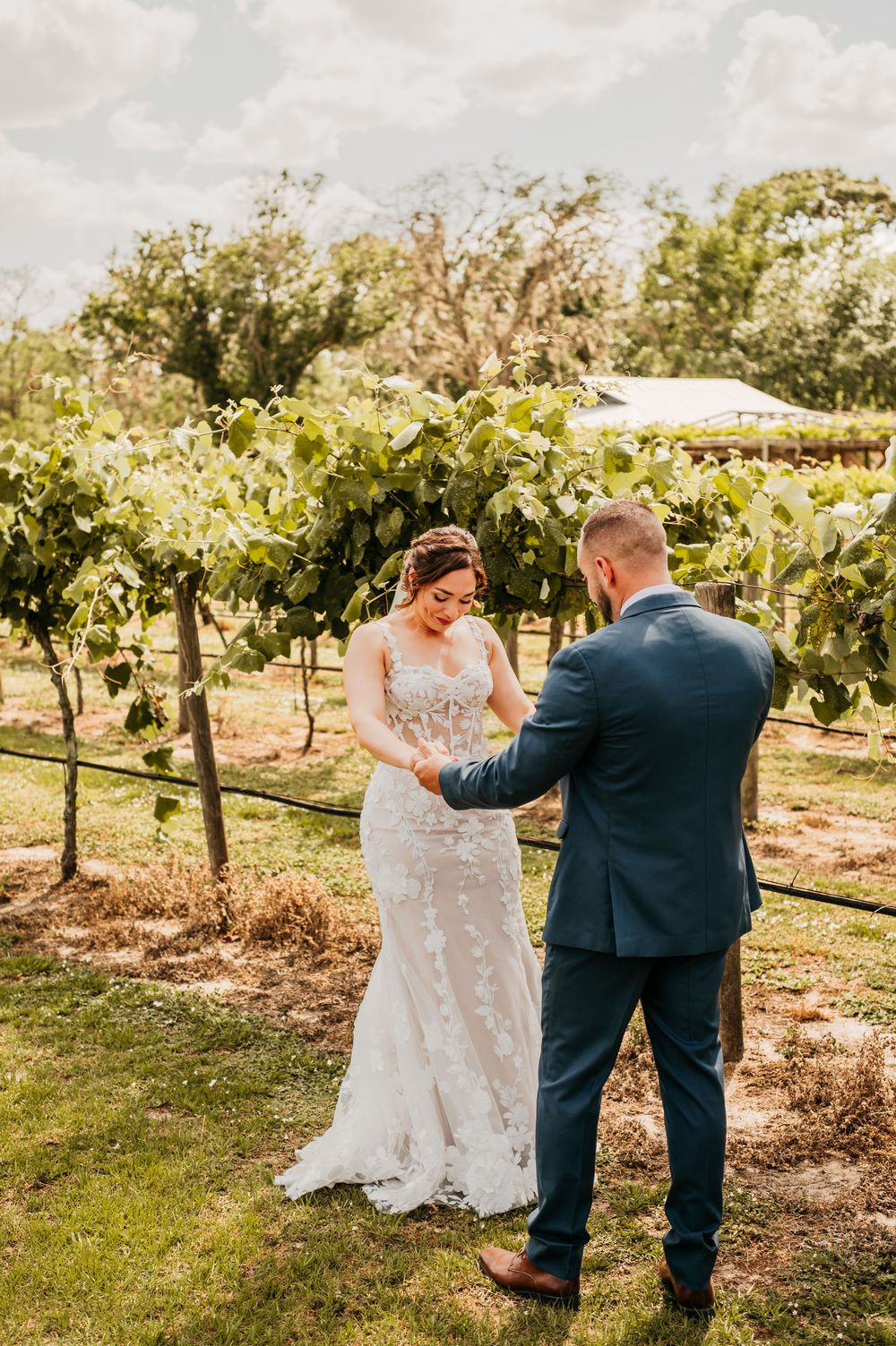 A romantic wedding moment captured in a vineyard with a couple sharing their first look in natural sunlight.
