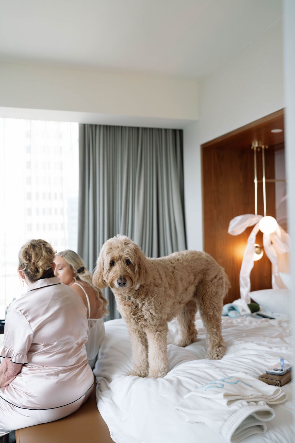 Four photos showing a goldendoodle dog lounging on a white hotel bed with gray curtains in the background.