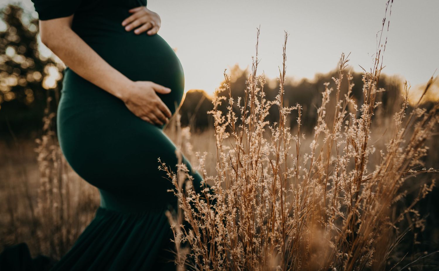 golden and magical maternity photo