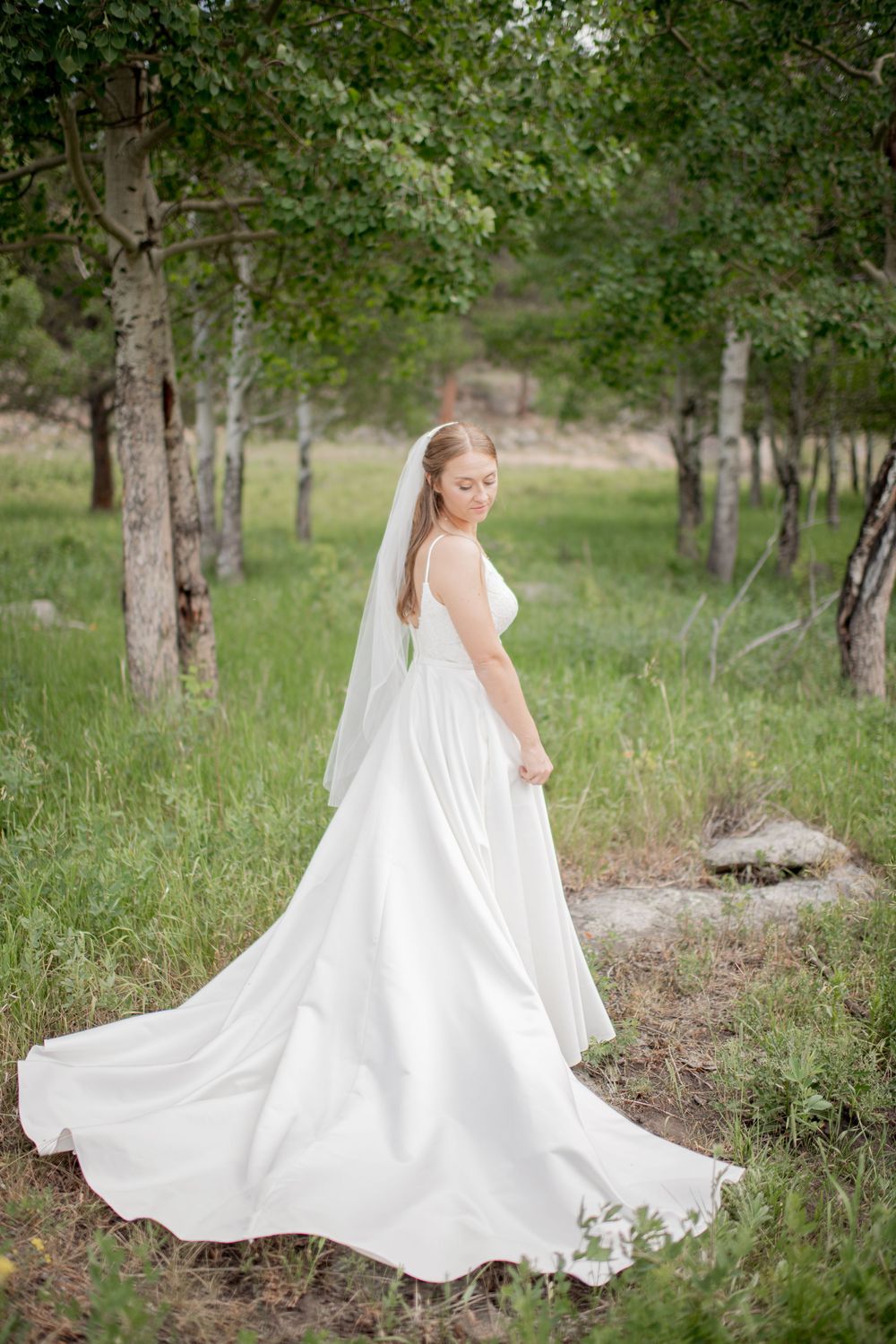 A flowing white wedding dress with a long train and veil photographed in a serene woodland setting among birch trees.