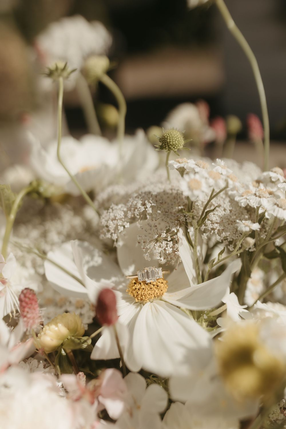 A close-up macro photograph of delicate white daisies and baby's breath flowers in soft, dreamy lighting.