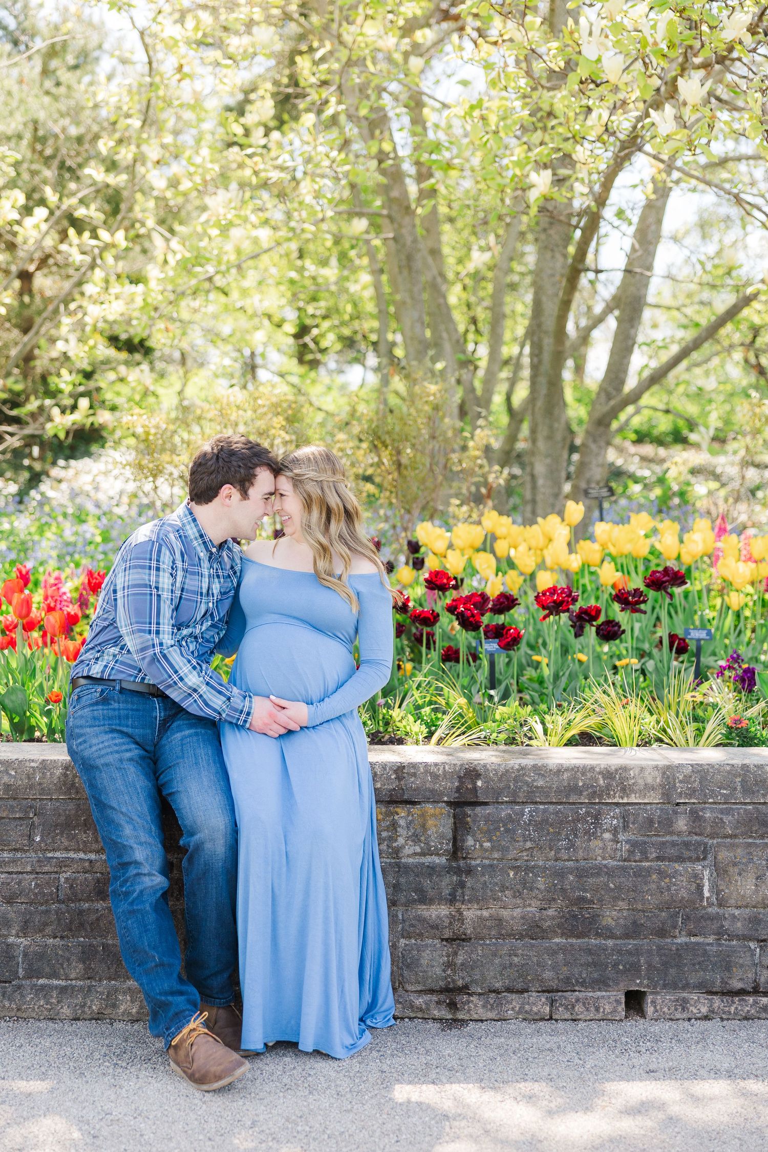 A couple embracing by a garden wall with vibrant red and yellow tulips blooming in the background on a sunny spring day at Chicago Botanic G
