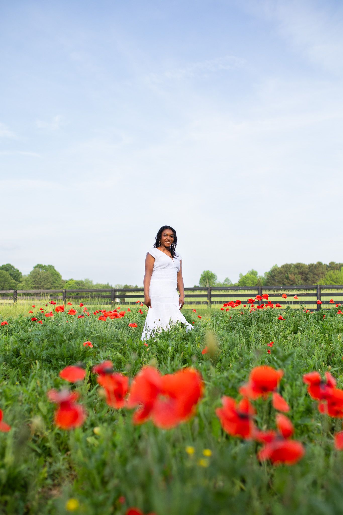 A woman in a flowing white dress stands elegantly among vibrant red poppies in a green field with wooden fencing.