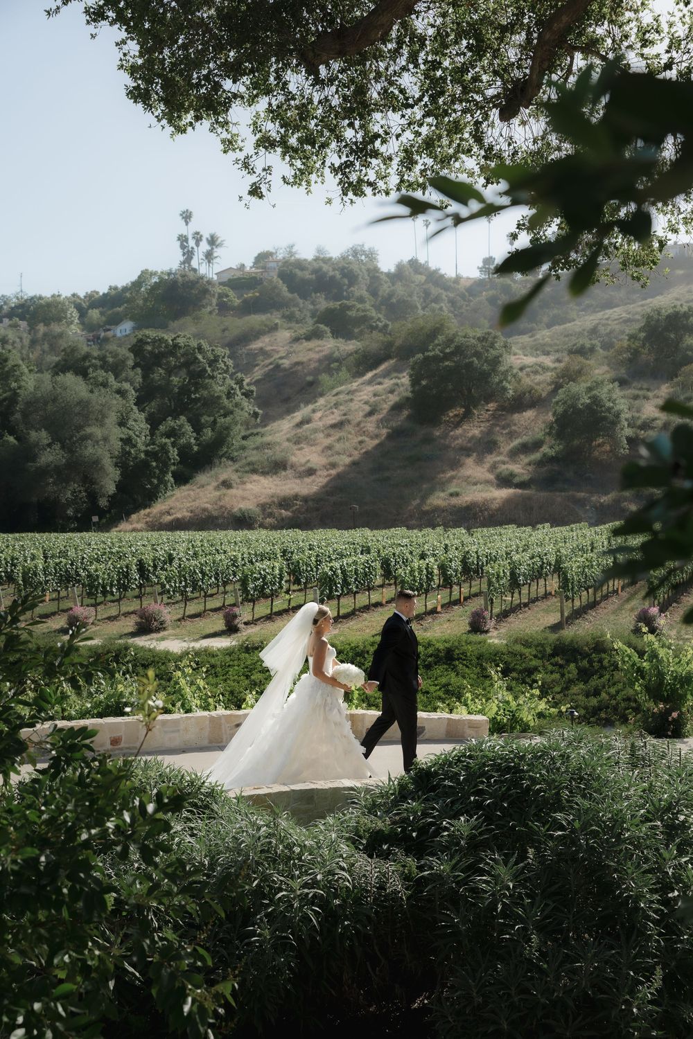 A couple walks along a scenic pathway overlooking rows of grapevines and rolling hills at a California vineyard.