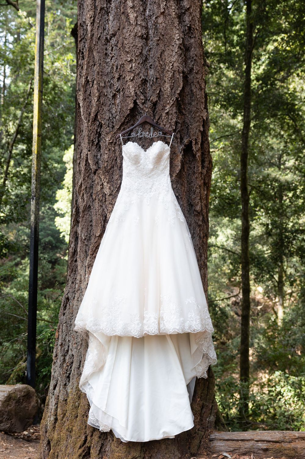 San Mateo County Wedding, Redwood Wedding, Dress hanging on redwood tree, wedding detail shot, wedding photographer