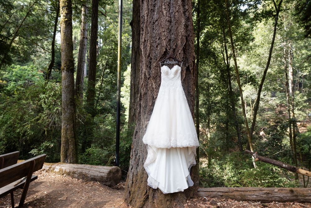 San Mateo County Wedding, Redwood Wedding, Dress hanging on redwood tree, wedding detail shot, wedding photographer