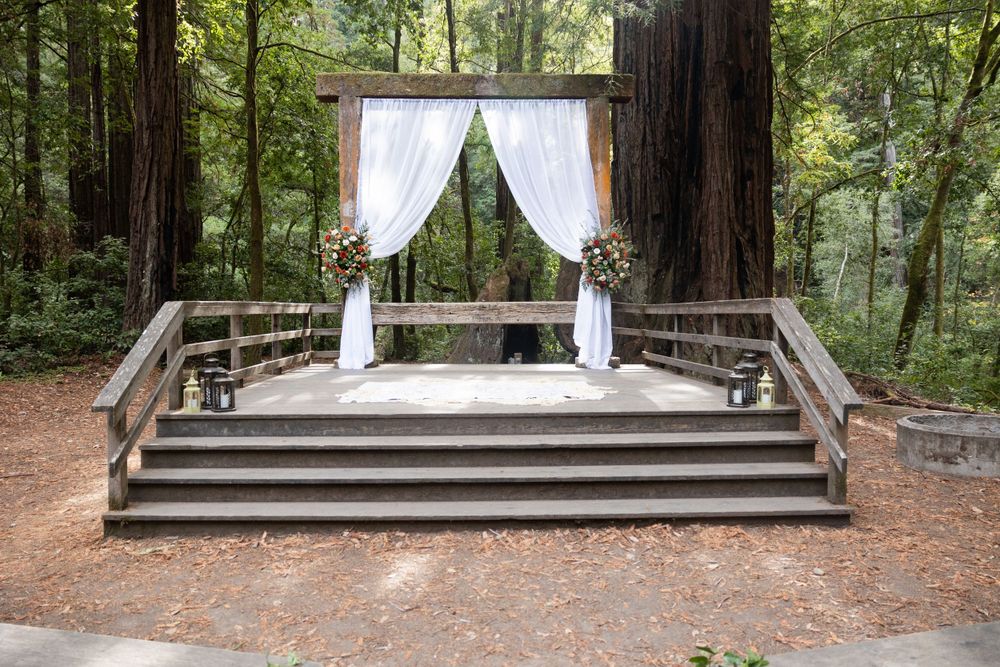 Detail shot, wedding arch with flowers, San Mateo County Wedding, Redwood Wedding, Chico wedding photographer