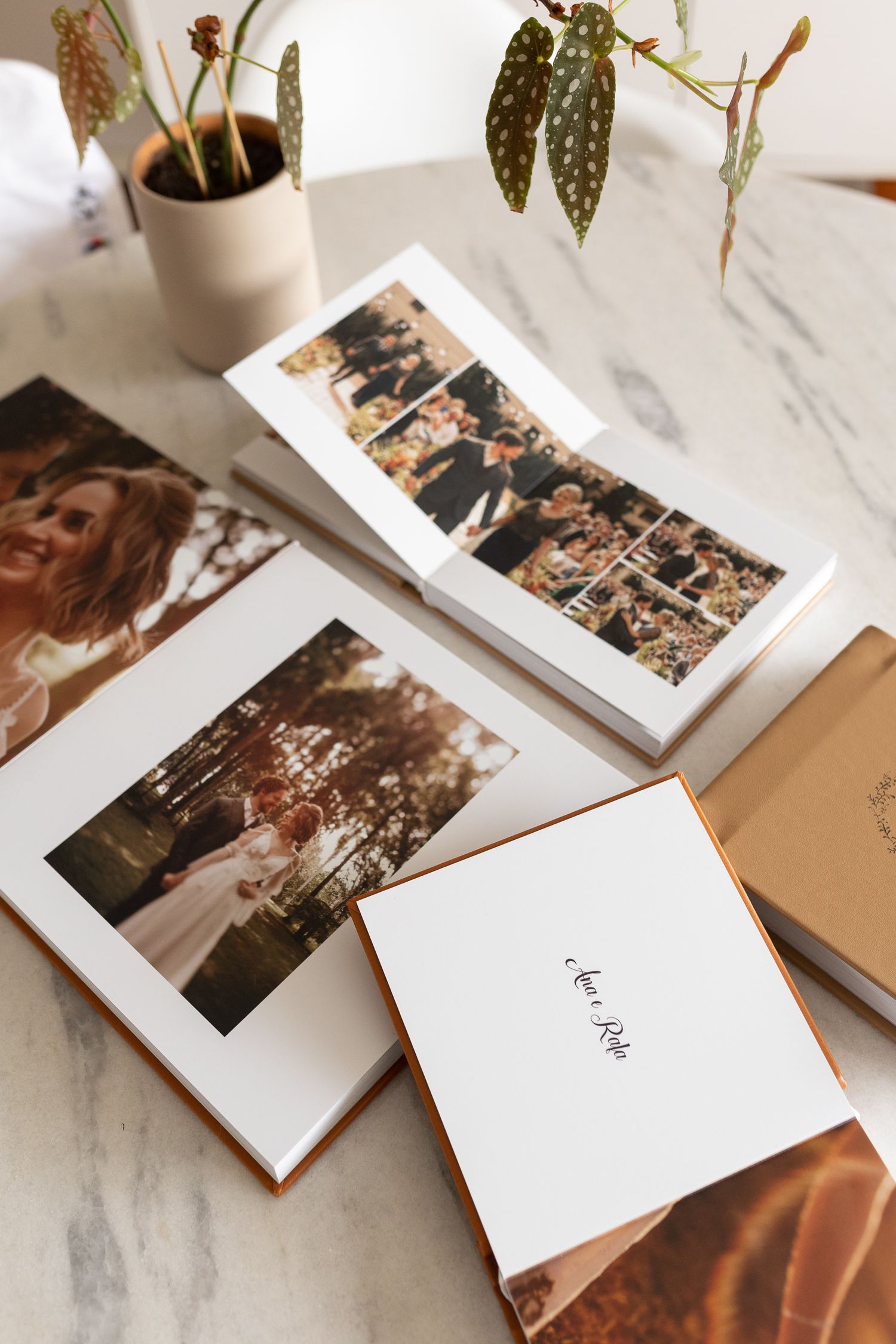 Wedding photo albums and prints displayed on marble surface with potted plant.