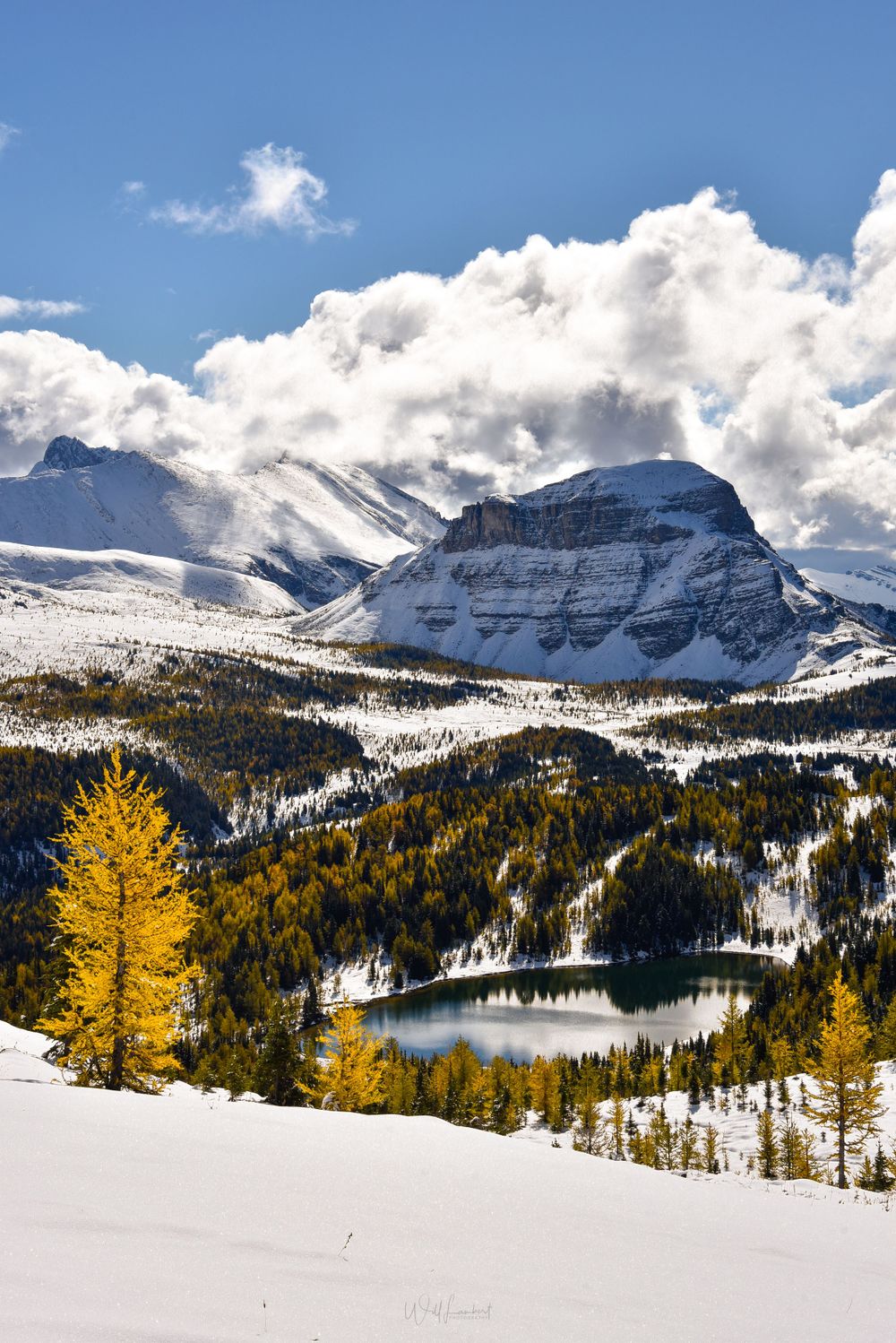 Snow-capped mountain peak rises above golden larches and alpine lake in winter landscape.