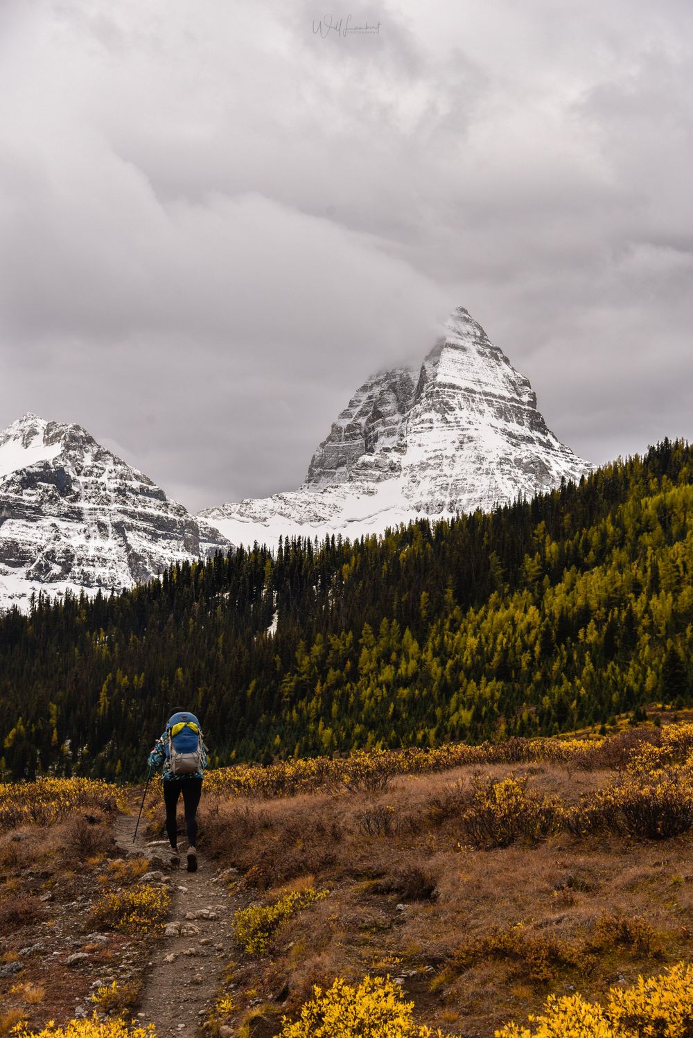 A hiker traverses an autumn trail beneath snow-dusted mountain peaks in the Canadian wilderness.