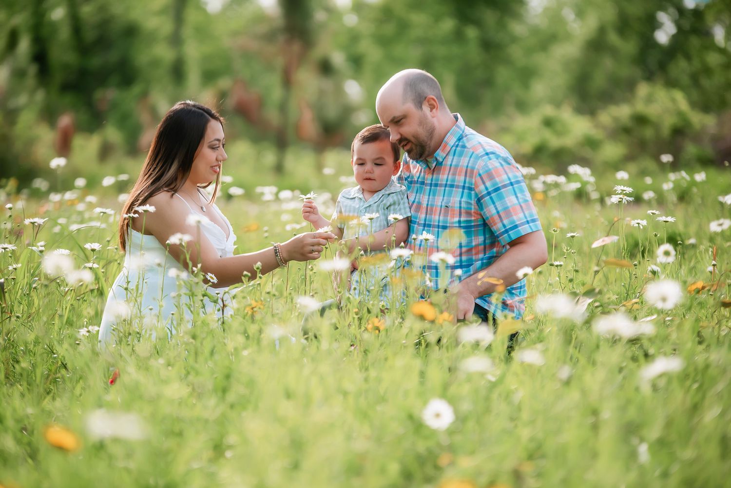 Sweet family portrait session in a blooming wildflower meadow.