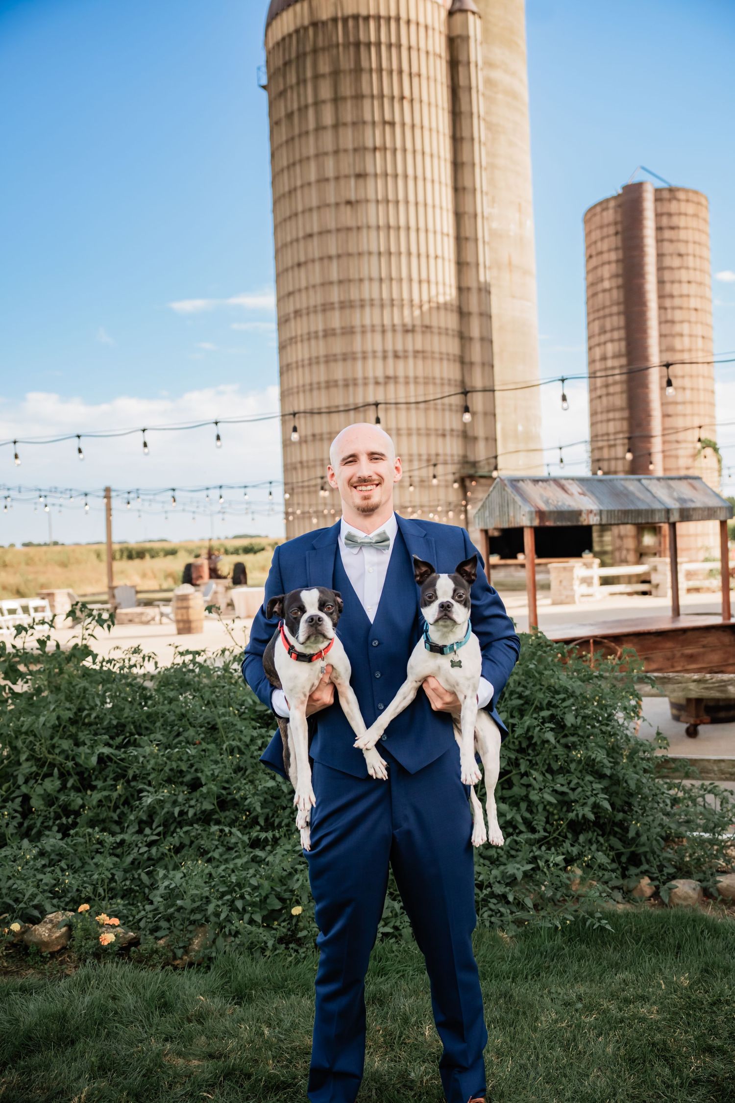 Two spotted terrier dogs being held at a rustic barn venue with tall grain silos in the background on a sunny day.
