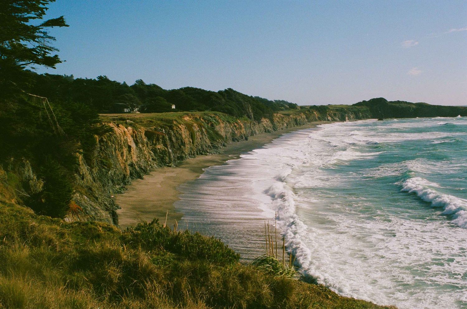 Coastal cliffs overlook a curving sandy beach with white waves crashing along the Pacific shoreline, taken on Bihler Point at Sea Ranch.