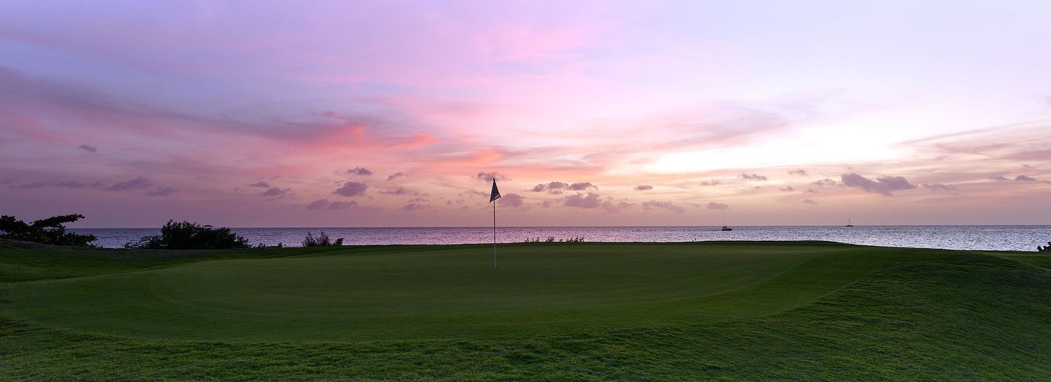 Panoramic view of a vibrant pink and purple sunset sky over a green coastal field with a lone flag pole.