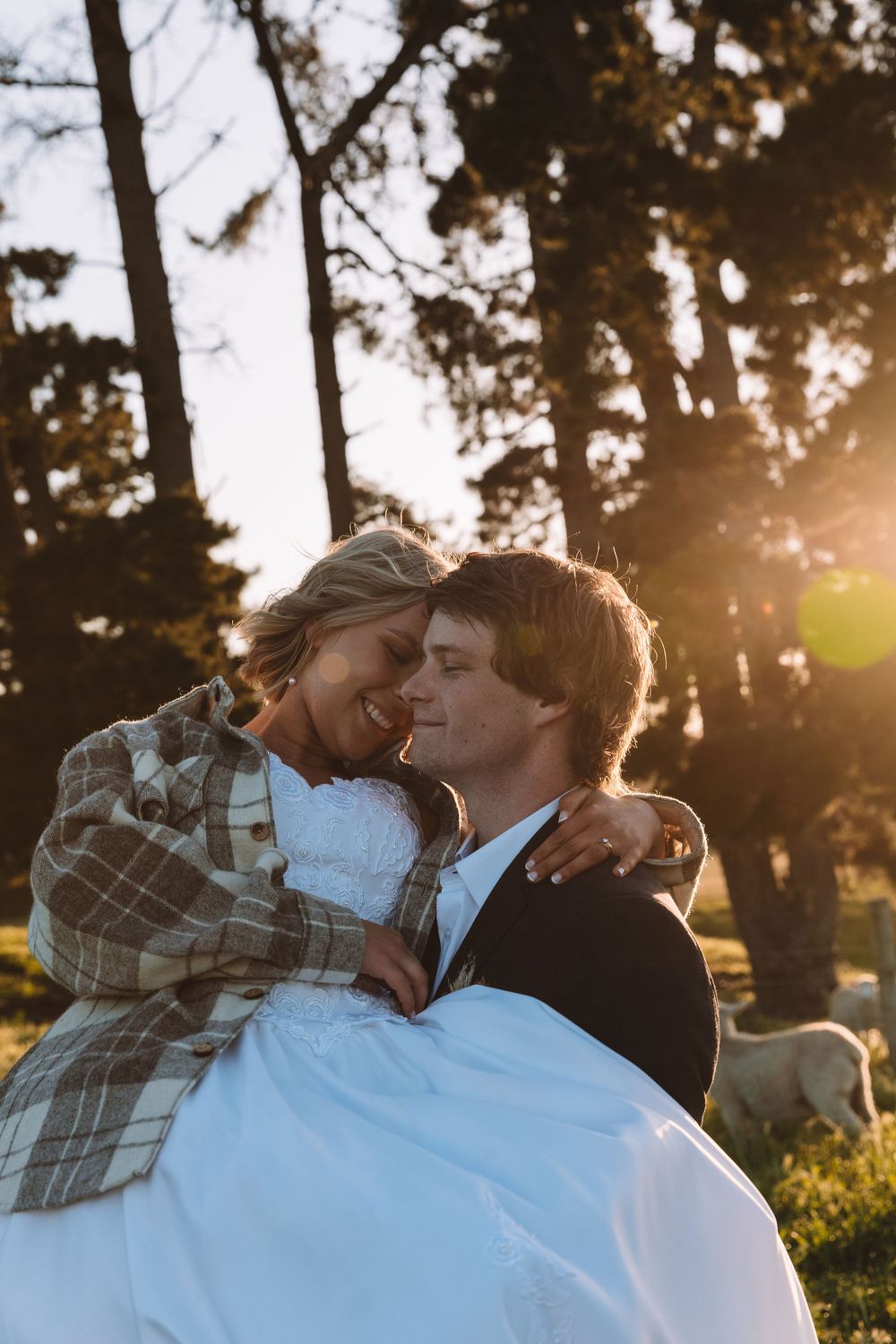 Couple embraces in golden sunlight while surrounded by majestic pine trees on their wedding day.
