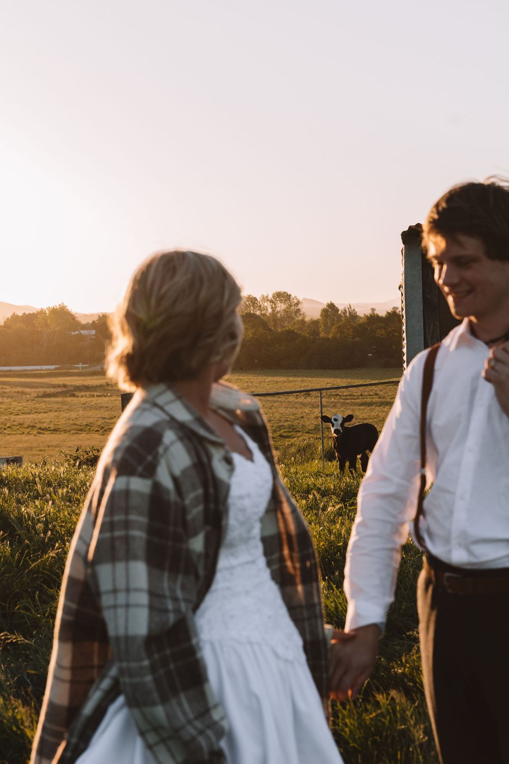 A couple in wedding attire and plaid shirt stand together in sunlit field with cattle grazing.