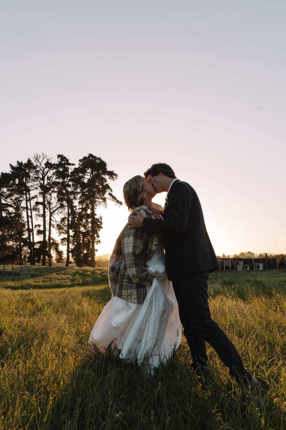 Couple shares romantic moment in sunlit field with pine trees silhouetted against dusk sky.