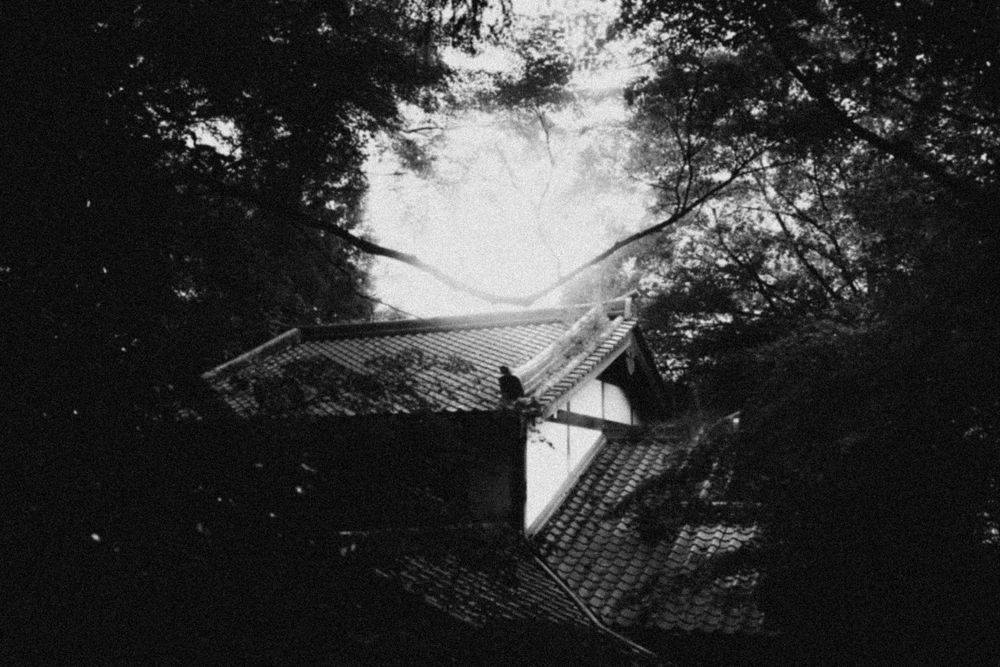 A moody black and white photograph shows a traditional Japanese temple roof peeking through dark tree silhouettes.