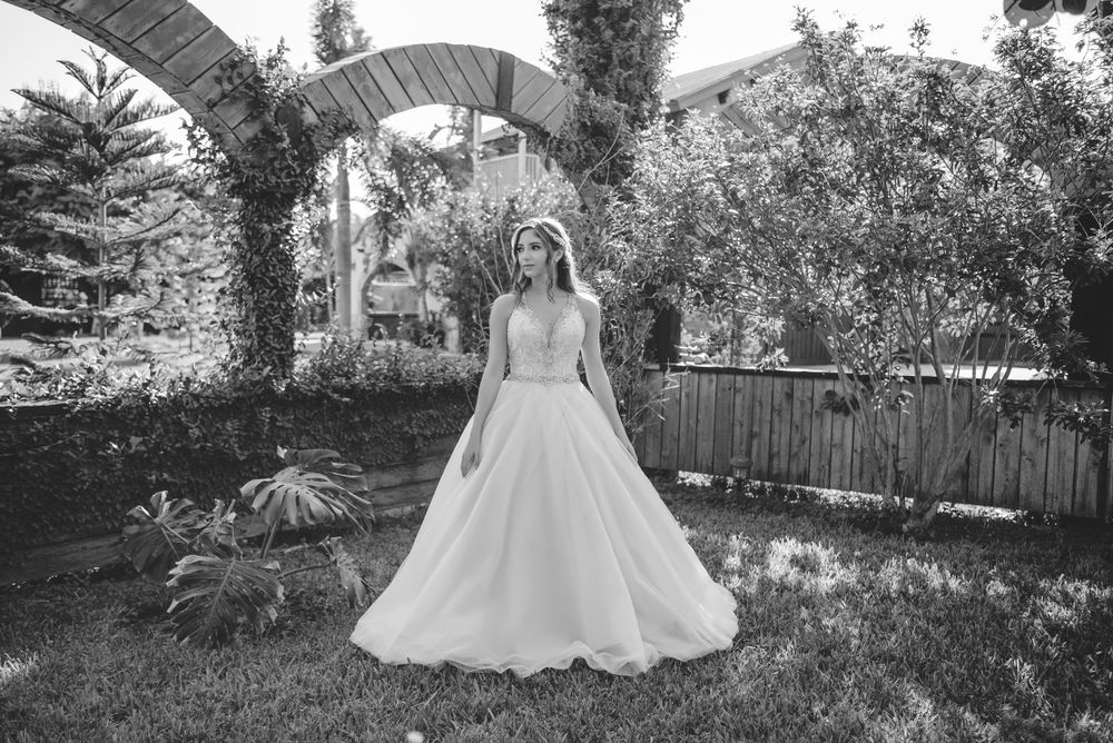 azenda events. mcallen, texas