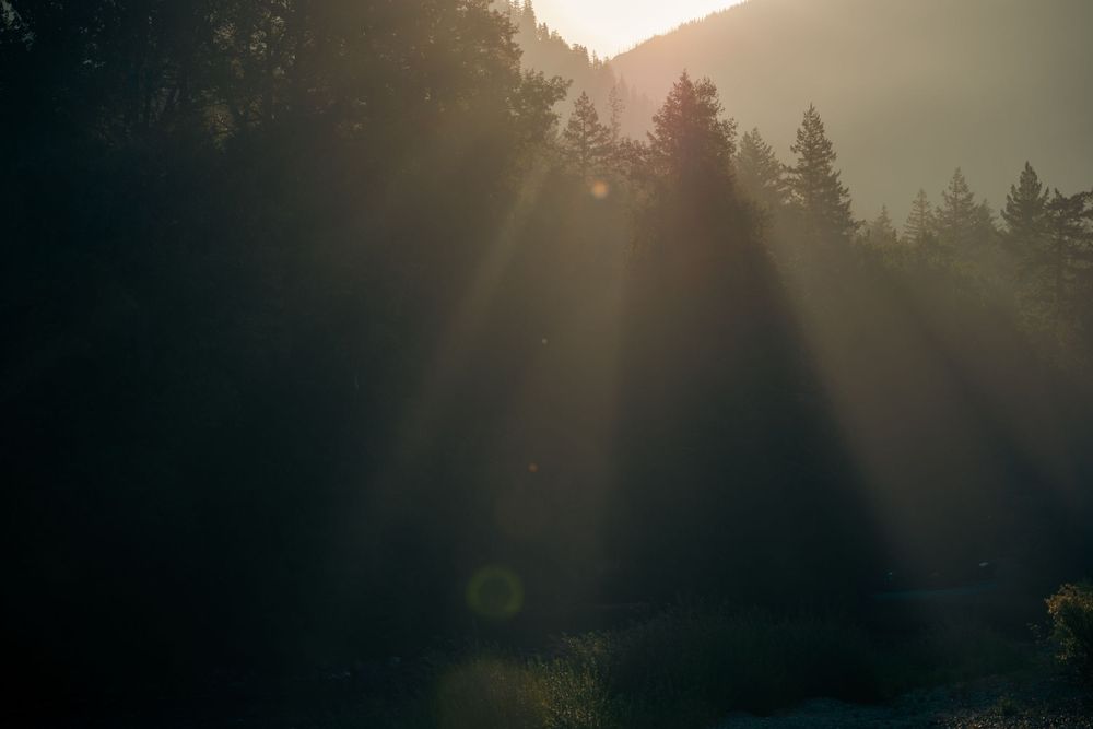 Sunbeams pierce through dark forest trees at dawn creating dramatic rays of light in a misty mountain landscape in Bella Coola.