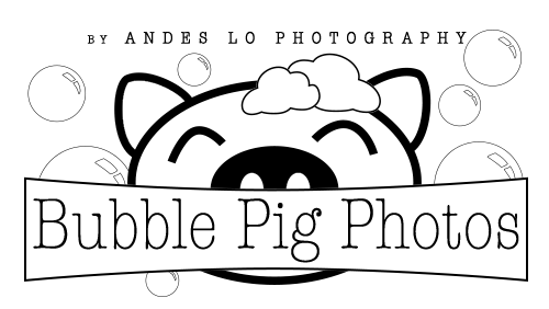 A dark logo design featuring a cartoon pig face with cat ears surrounded by floating bubbles and text reading Bubble Pig Photos.