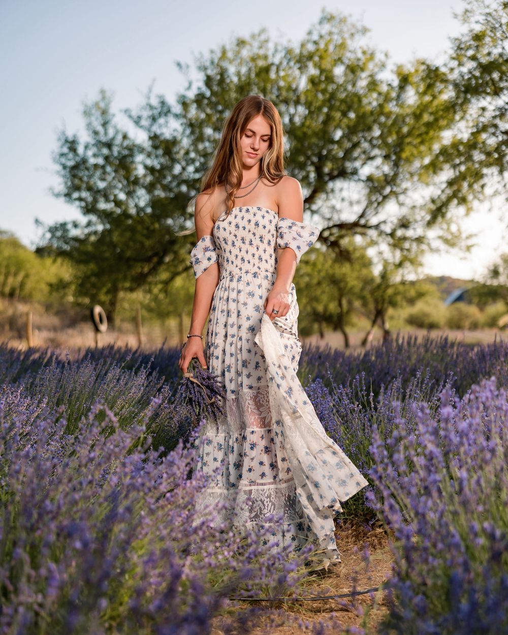 Class of 2026 senior photo in sunset lavender field, Tucson portrait photographer