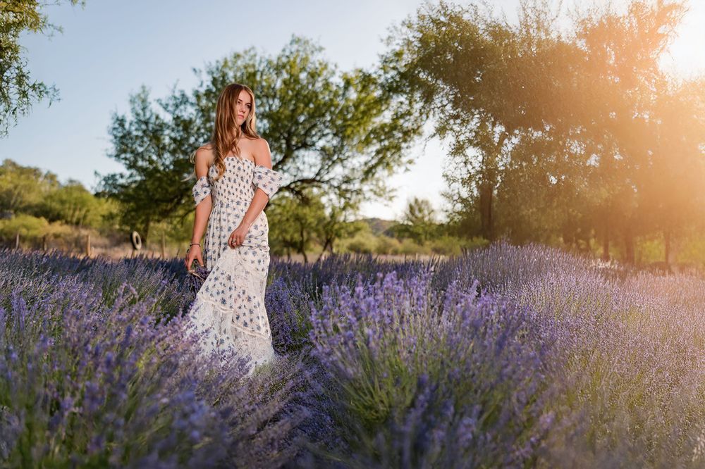 Class of 2026 senior photo in sunset lavender field, Tucson portrait photographer