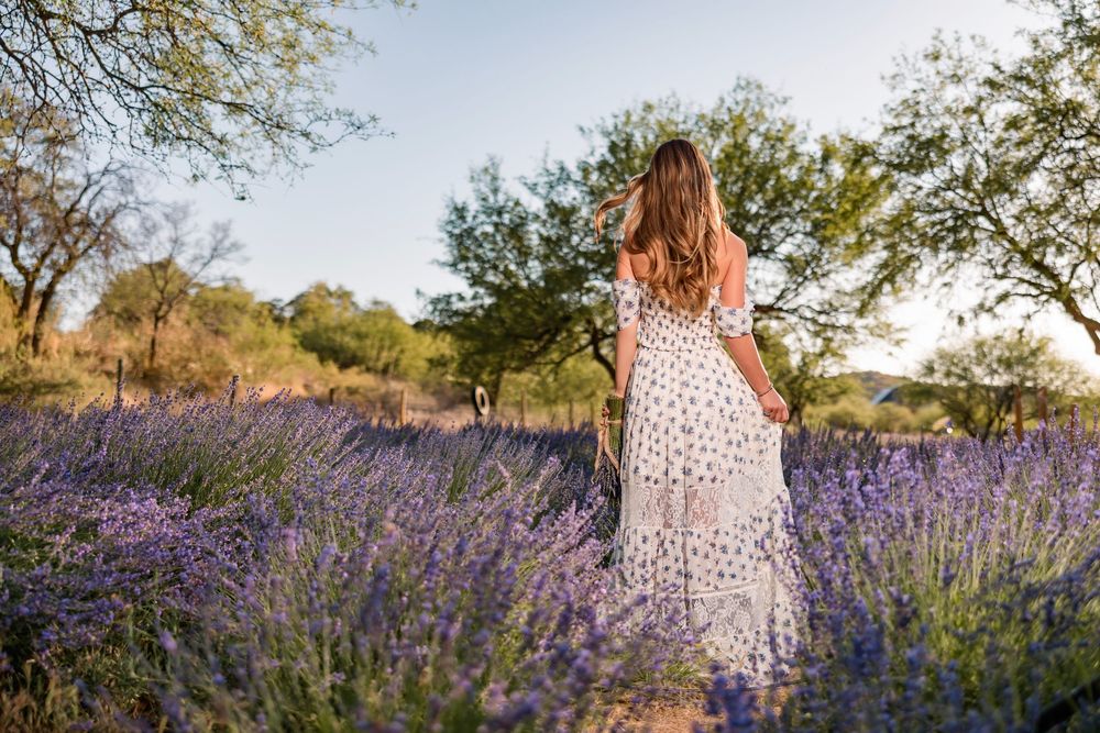 Class of 2026 senior photo in sunset lavender field, Tucson portrait photographer