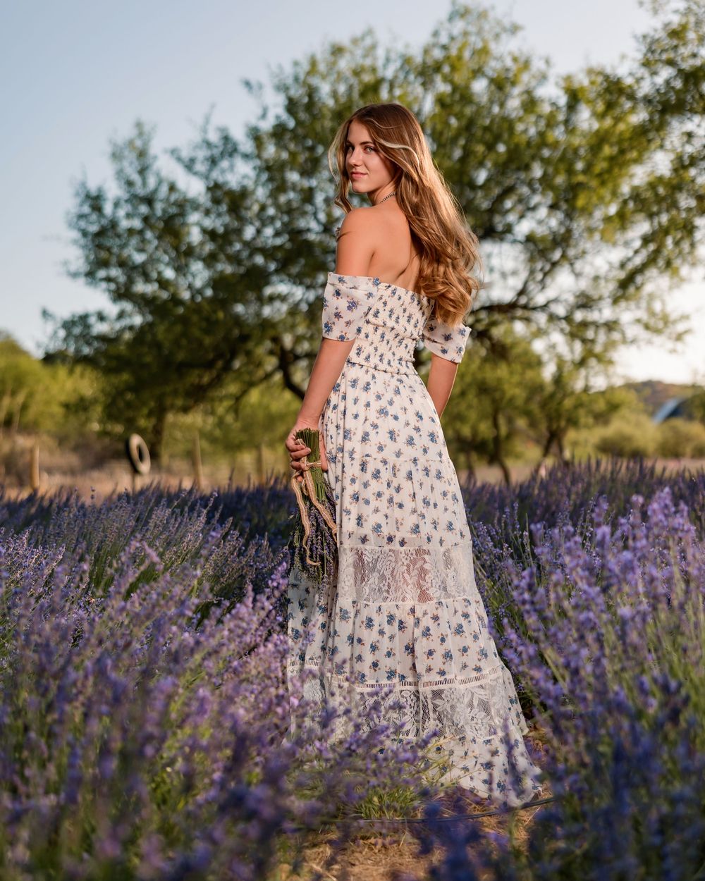 Class of 2026 senior photo in sunset lavender field, Tucson portrait photographer