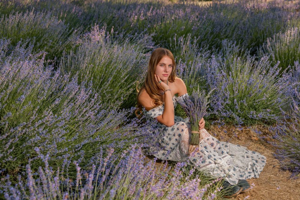 Class of 2026 senior photo in sunset lavender field, Tucson portrait photographer