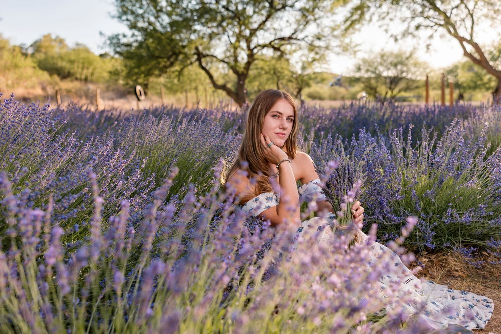 Class of 2026 senior photo in sunset lavender field, Tucson portrait photographer