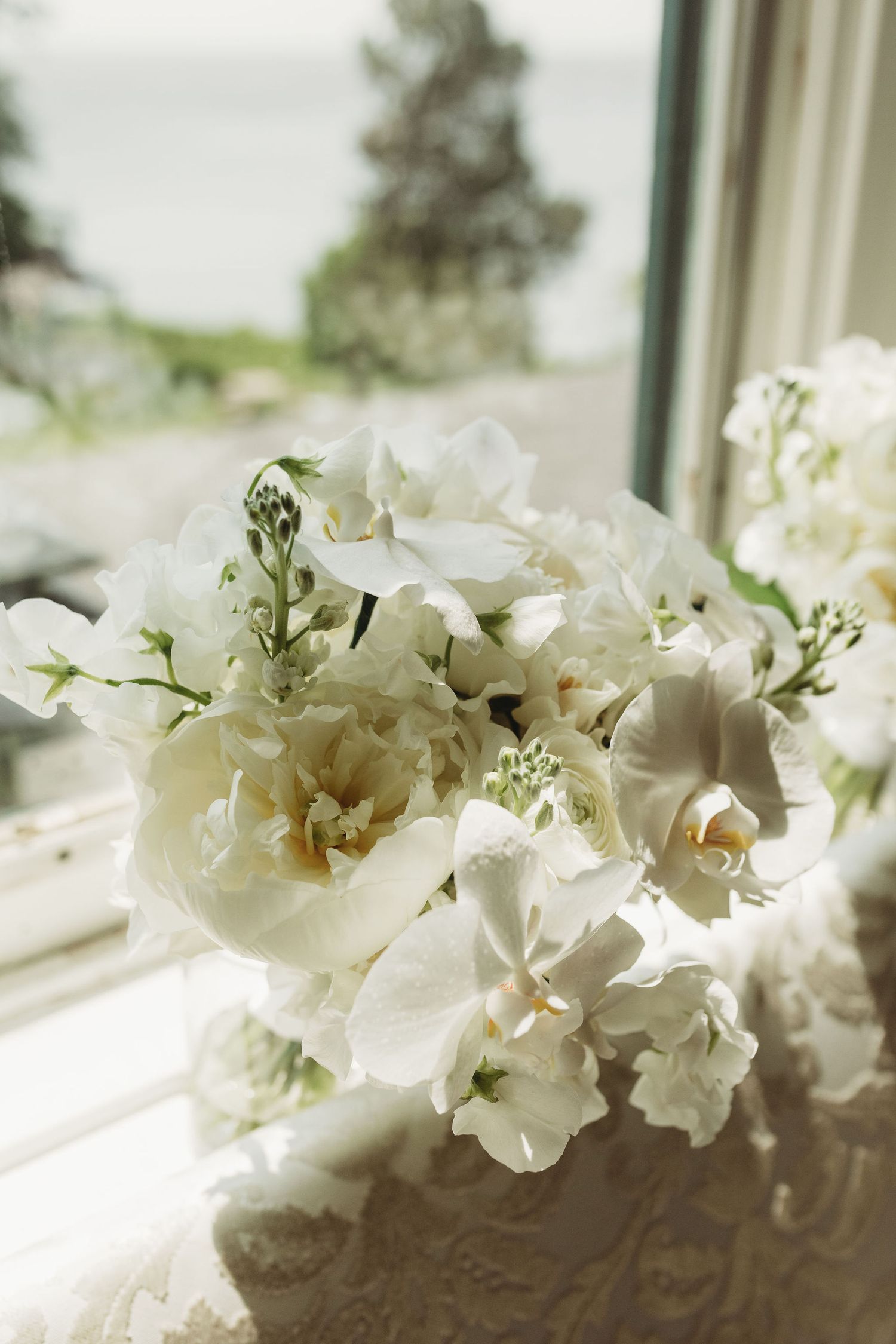 White gladiolus flowers arranged on a windowsill with soft natural light streaming through.