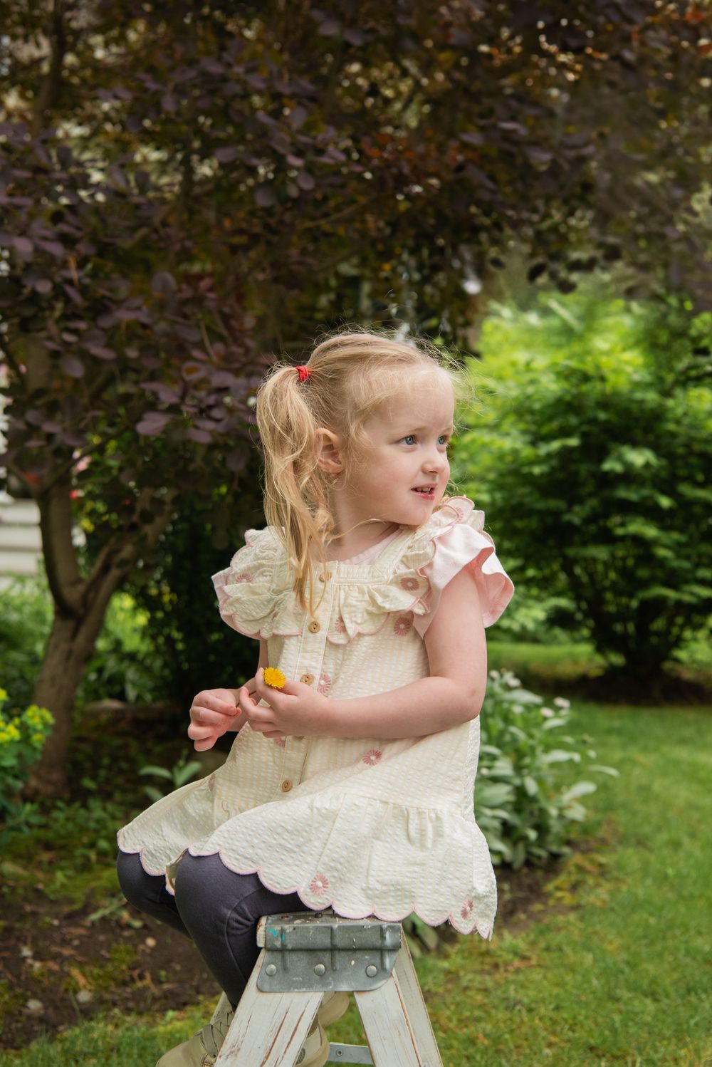 Young child in a cream-colored lace dress sitting on a wooden stepladder in a garden setting, holding a yellow flower.