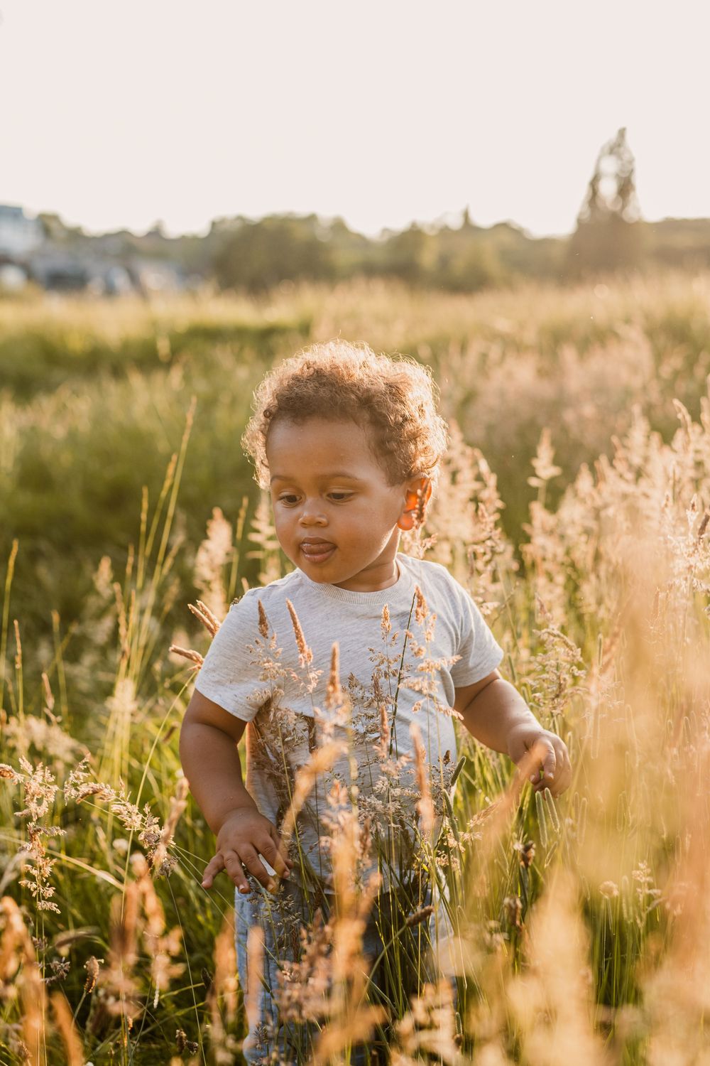 Child stands in a golden sunlit meadow with tall grass and wildflowers at sunset.