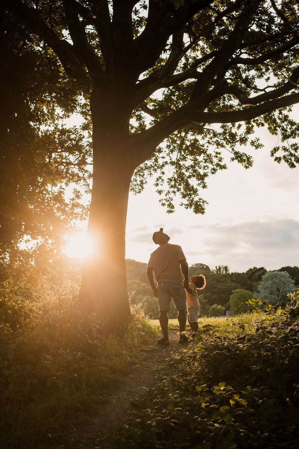 A silhouetted figure walks along a sunset trail beneath a large tree casting long shadows in golden evening light.