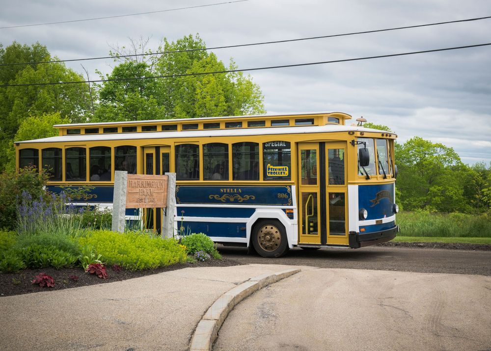 Vintage-style tour bus painted in blue and yellow colors turns on a curved road surrounded by green trees.