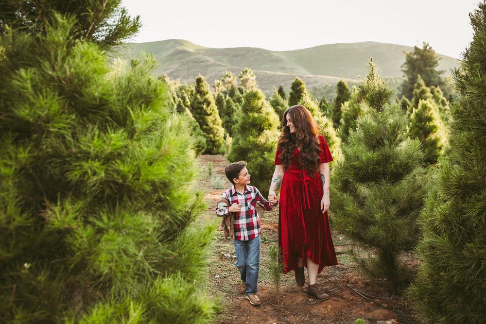 Family walks together through evergreen trees at golden hour with mountains in background.