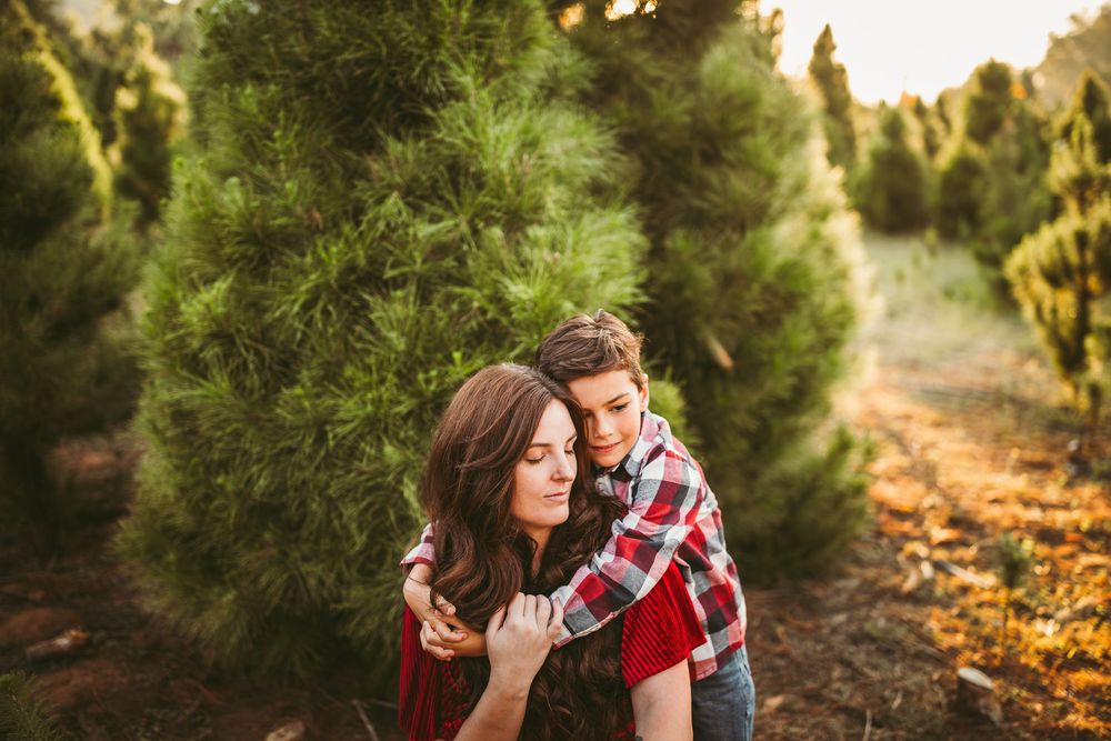 Couple embracing among pine trees at sunset with warm golden light filtering through branches.
