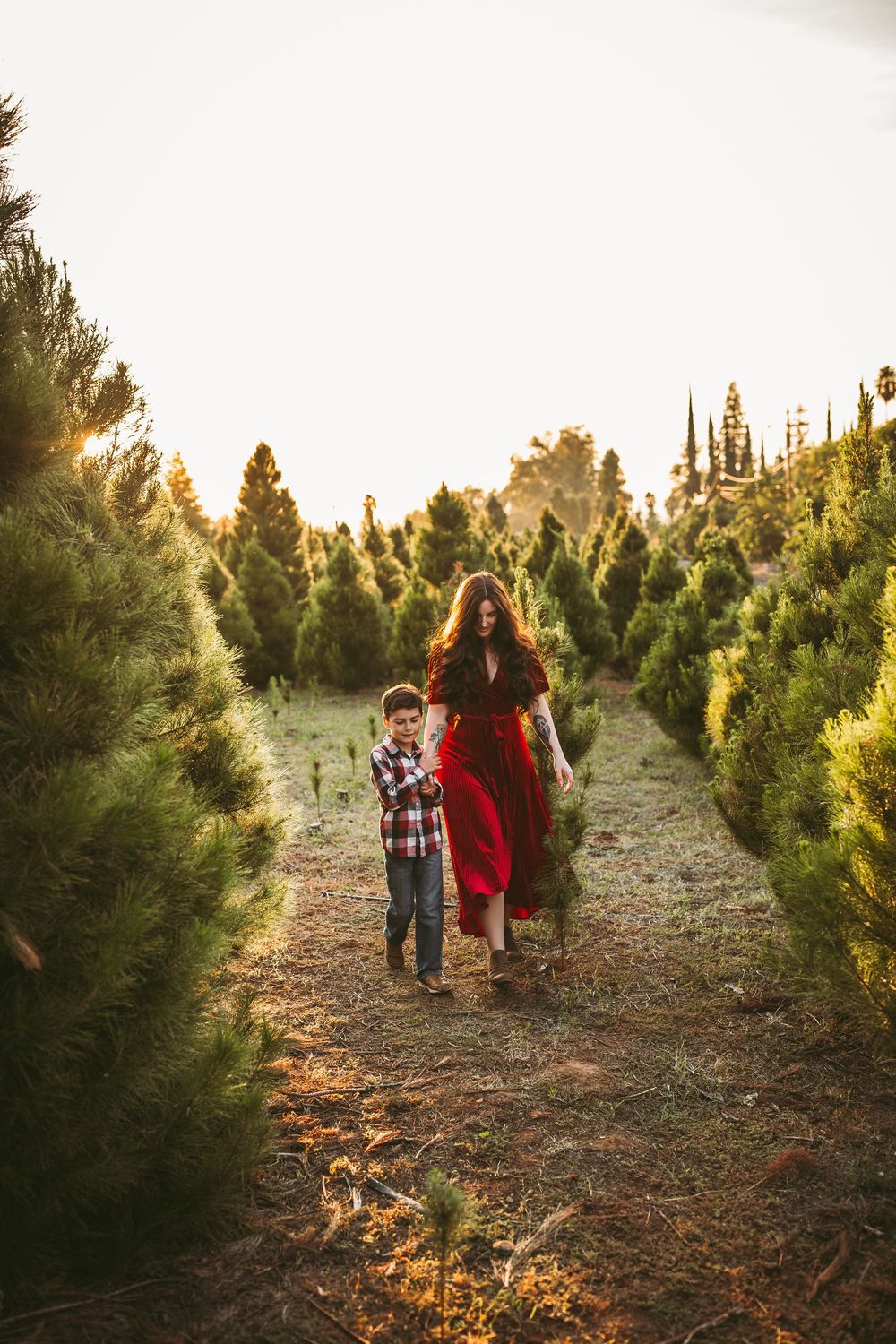 People walk among evergreen trees at a Christmas tree farm during golden sunset hour on a dirt path.