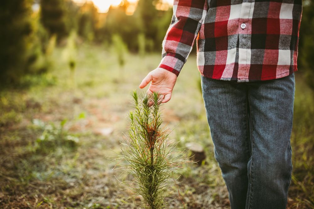 Close-up view of casual plaid shirt and jeans while walking through autumn forest path.
