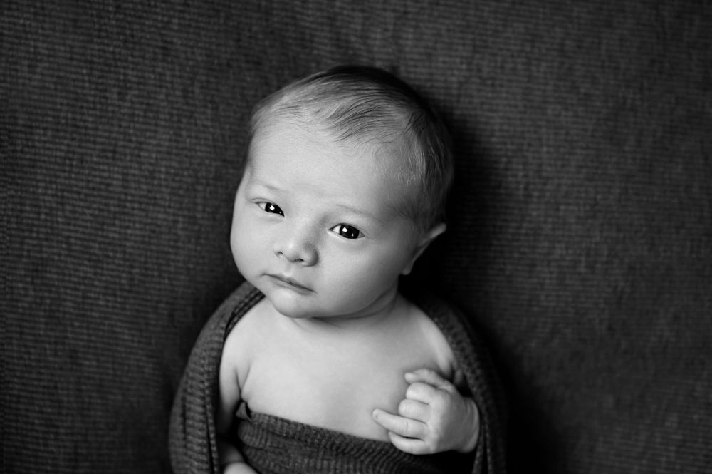Black and white portrait of a baby with chubby cheeks looking at the camera while swaddled in a dark blanket.