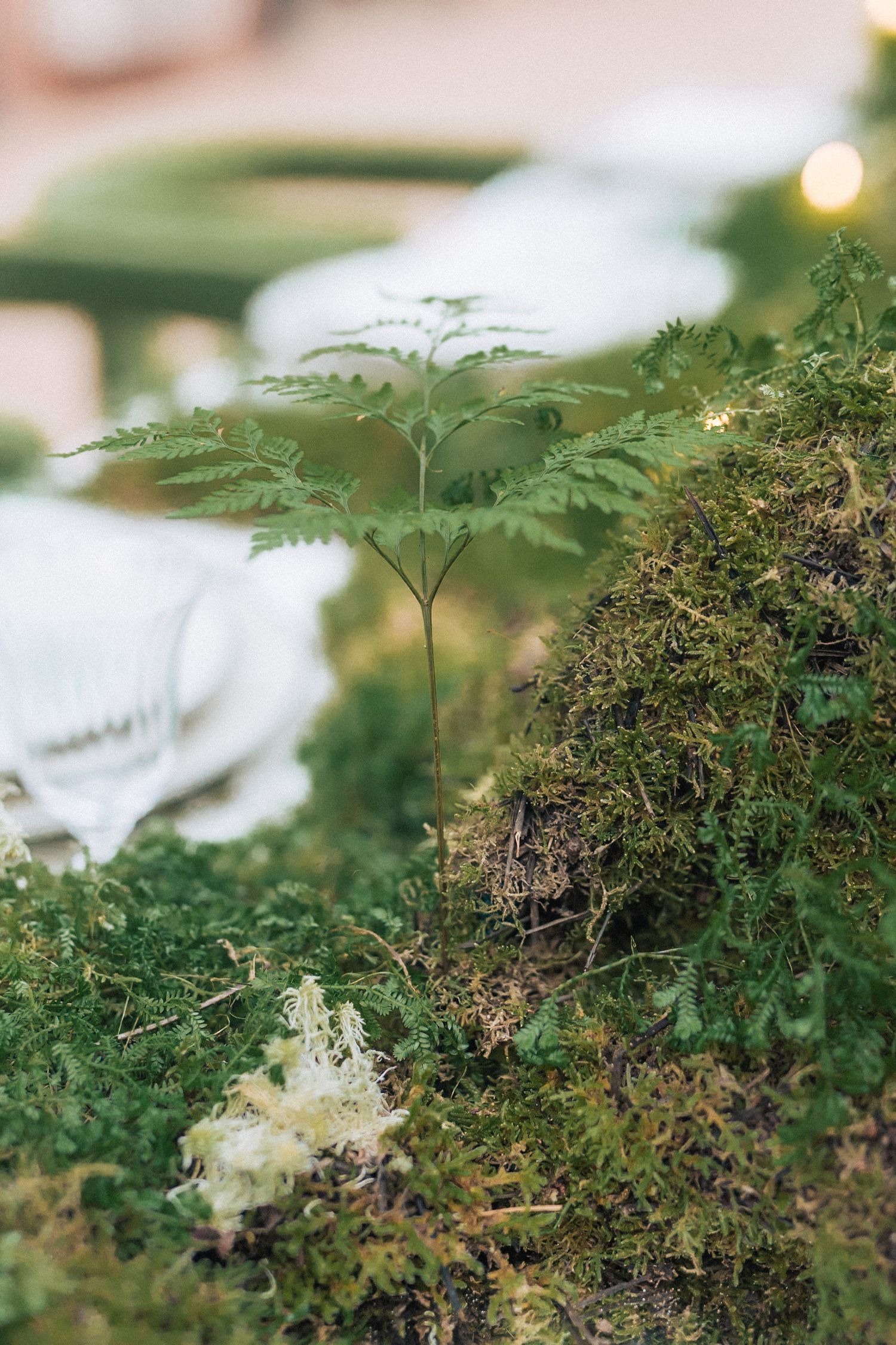 Editorial styled photo-shoot at Casa dos Penedos, a wedding venue from Penha Longa Catering. captured by a Portugal wedding photographer.