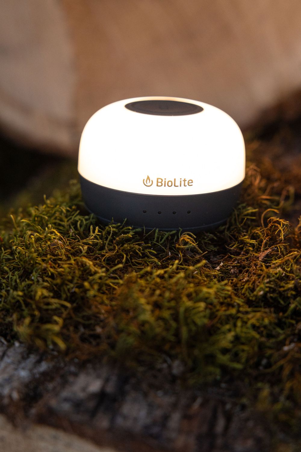A BioLite lantern glows softly on a mossy surface in an outdoor setting.