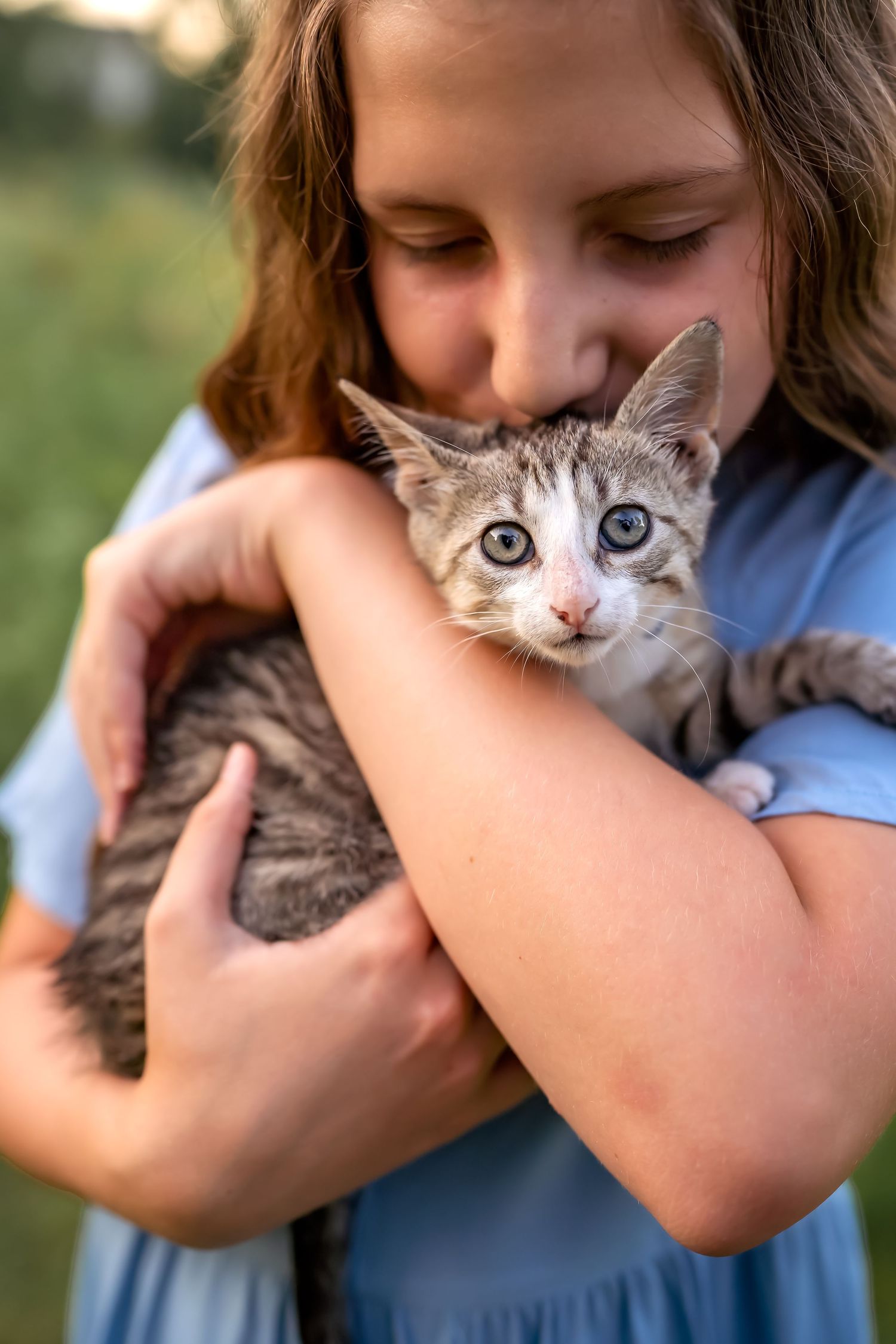 A young girl in a blue dress tenderly holds a wide-eyed gray and white kitten in her arms outdoors.
