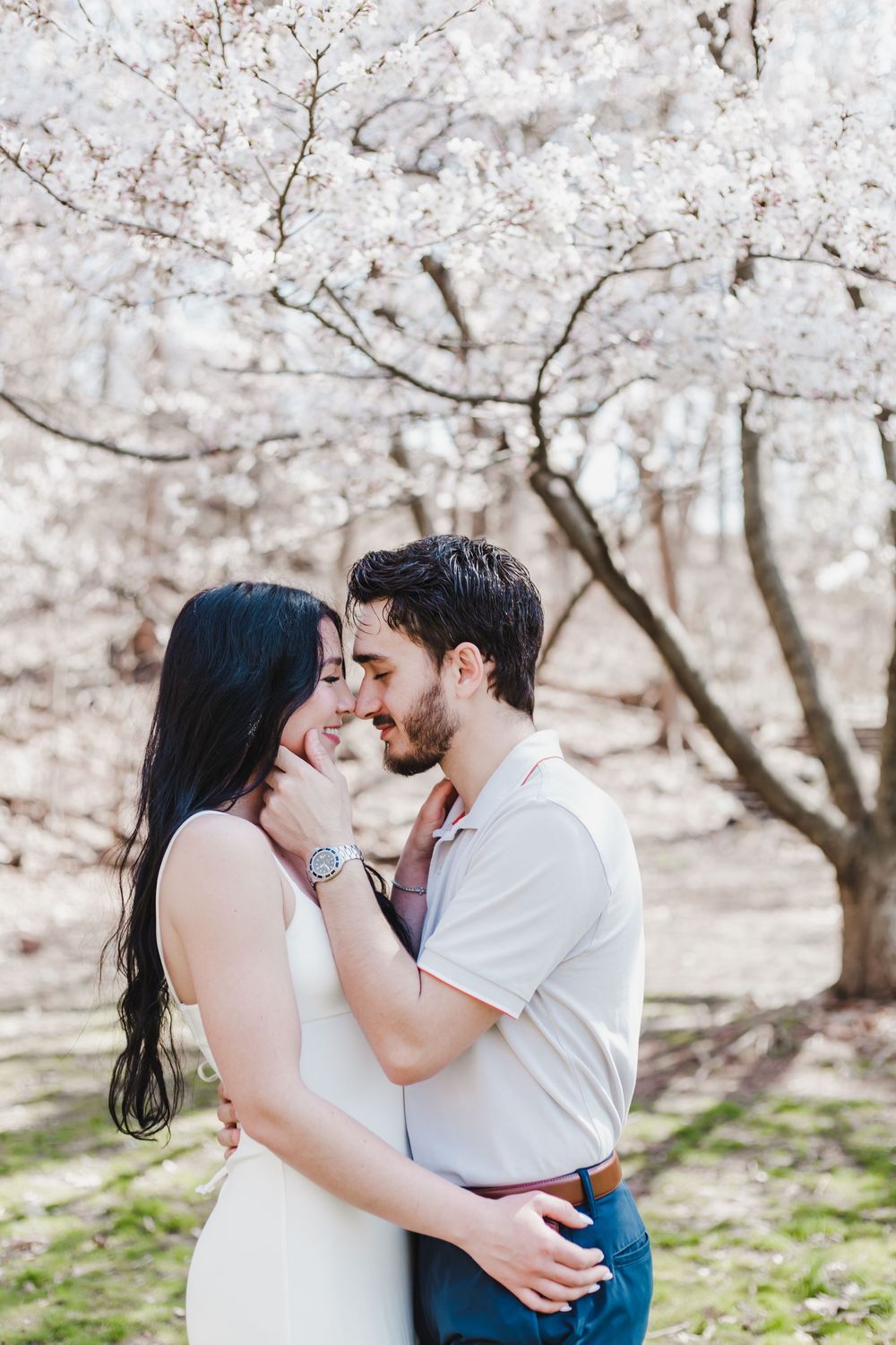 A tender moment between a couple under blooming cherry blossom trees in springtime.