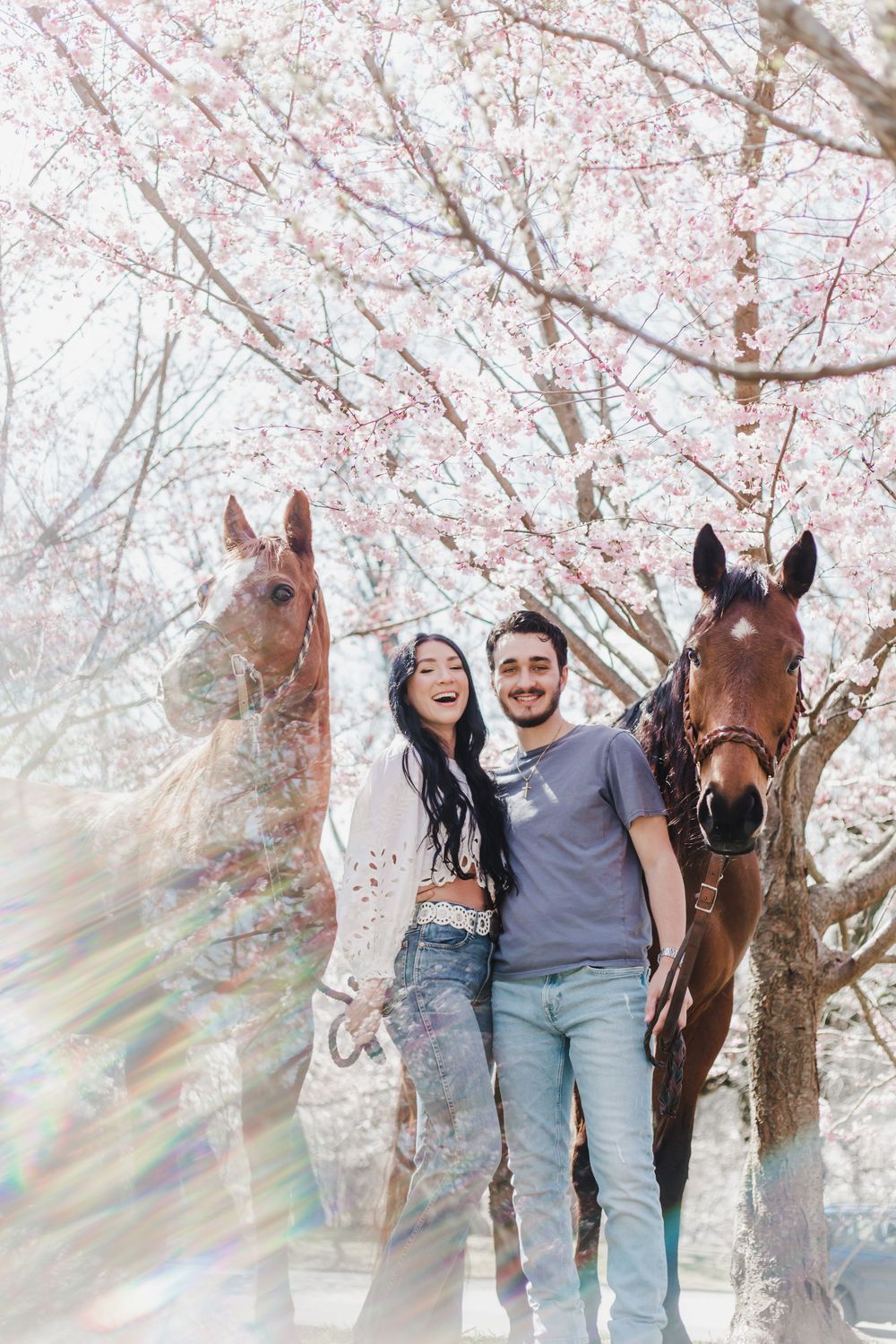 A couple poses with their two horses under blooming cherry blossom trees with a dreamy sunlit effect in the background.