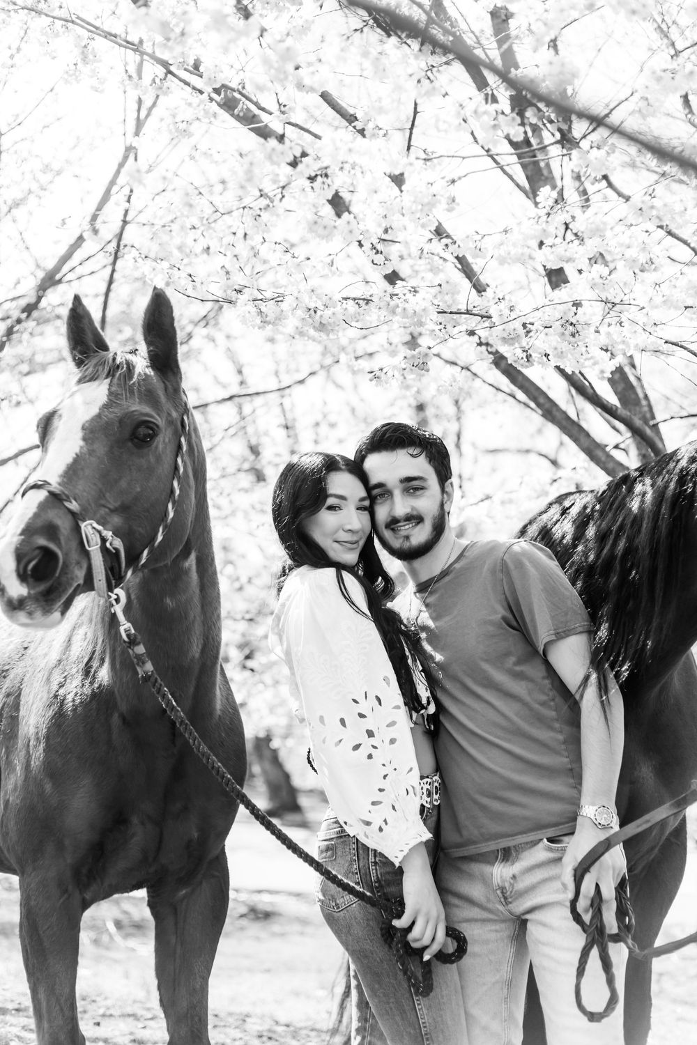 A loving couple poses with two horses in a dreamy spring setting with blossoming trees.